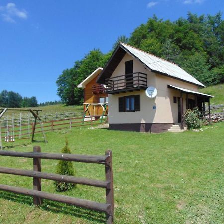 Vikendica Sekulic Villa Bajina Basta Bagian luar foto