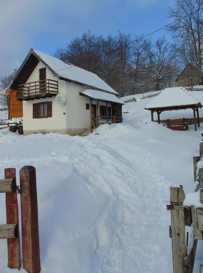 Vikendica Sekulic Villa Bajina Basta Bagian luar foto