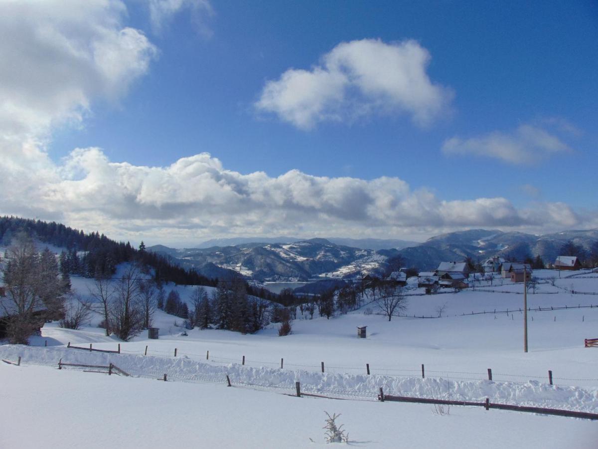 Vikendica Sekulic Villa Bajina Basta Bagian luar foto