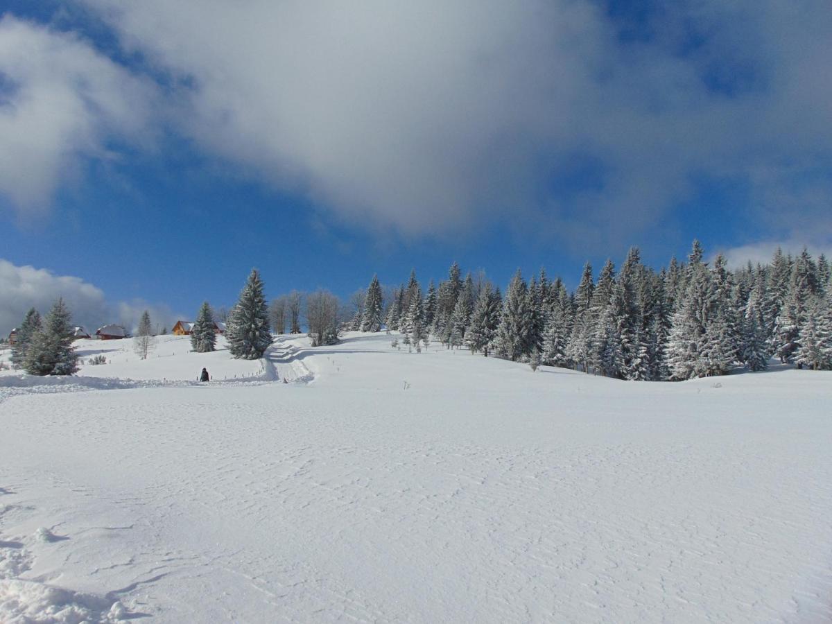 Vikendica Sekulic Villa Bajina Basta Bagian luar foto